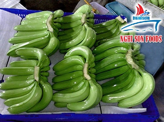 Fresh Cavendish Banana Manufacturer In Ho Chi Minh Viet Nam By