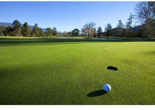 Sport Golf Course Designing Services