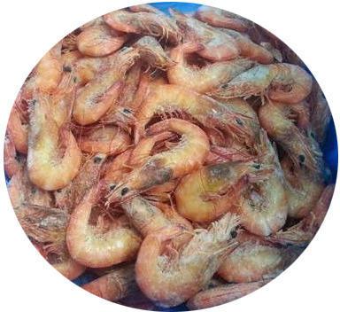 Coral Prawn, Packaging Type : Thermacol