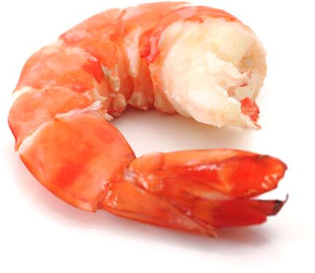 Sea shrimp, Packaging Type : Thermocol