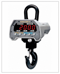 CWS-01-CAS Hanging Scale