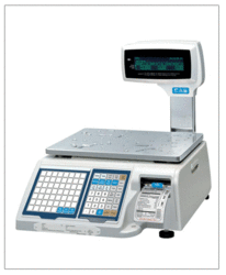 CWS4 - CAS Weighing Scale