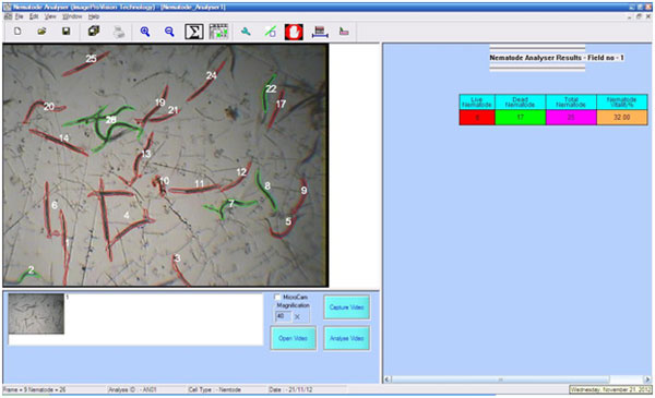 Nematode Analyser