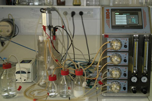 Single-Use Laboratory Bioreactor