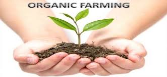 Organic Farming Consultant