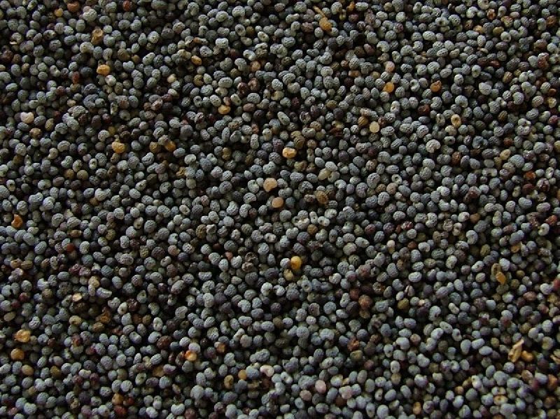 Yellow shatavari seed