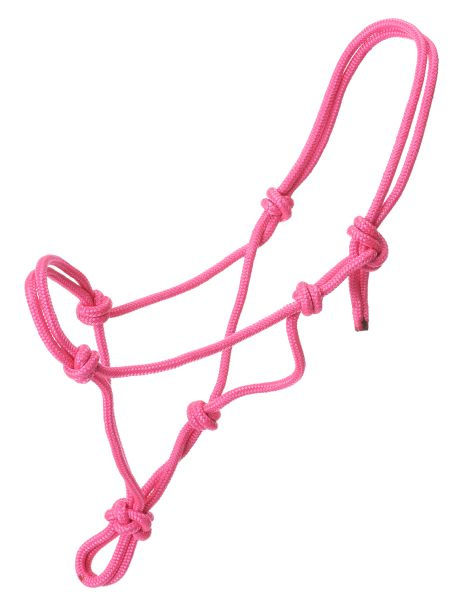 Horse Rope Halters at Best Price in Kanpur