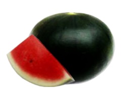 Fresh Watermelon