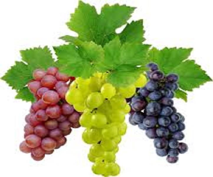  Seedless Grapes, Color : Green, Black