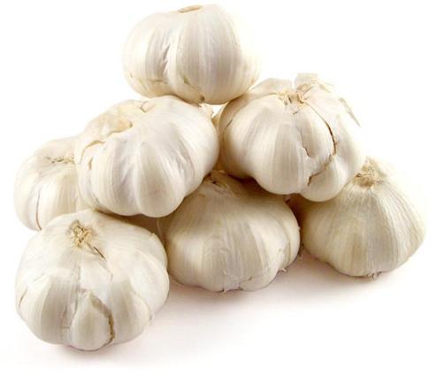 fresh garlic