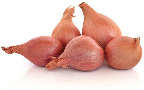 Oval Common Shallot Onion, for Cooking, Enhance The Flavour, Human Consumption, Style : Fresh