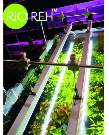 Rio LED light fixture-2ft (8w)