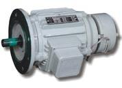 AC EOT Crane Motor