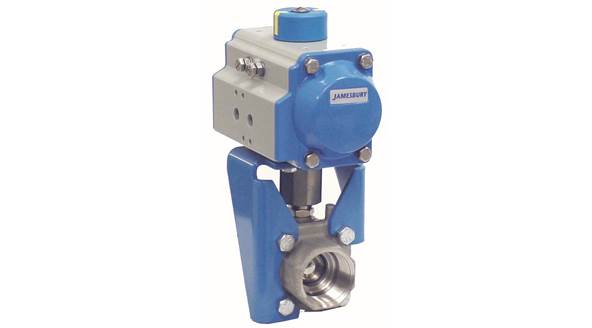 Clincher standard port valve