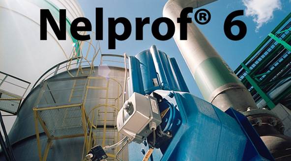 Nelprof 6 valve sizing software
