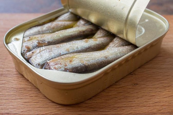 Canned Sardine Fishes