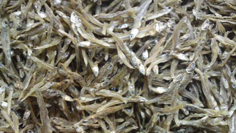 Dried Unsalted Anchovy