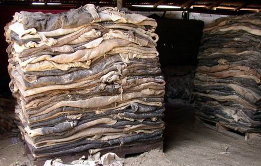 Dried Unsalted Donkey Hides