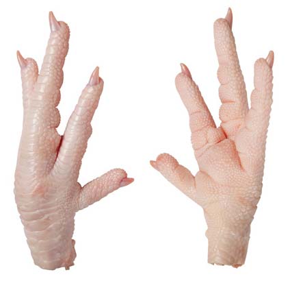 Frozen Chicken Paws, Packaging Type : Carton, Vacuum Pack