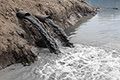 Water Pollution