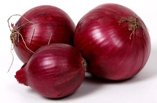 Fresh red onion