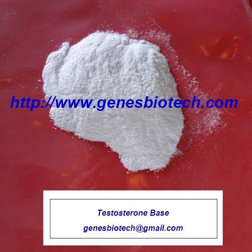 Steroids Factory Testosterone