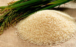 Karnataka Rice