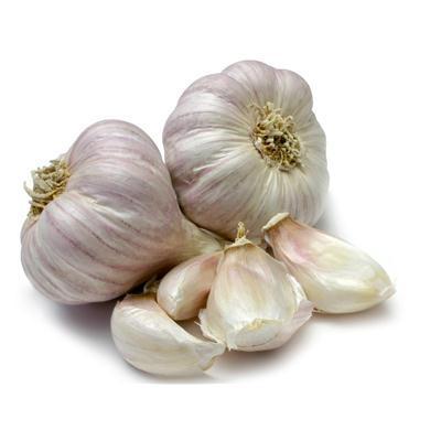 Fresh garlic