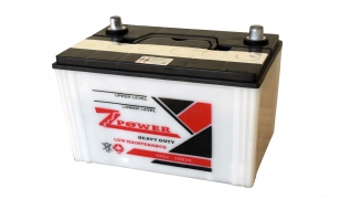 Dry Charged Automotive Batteries