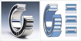 Toroidal Roller Bearing