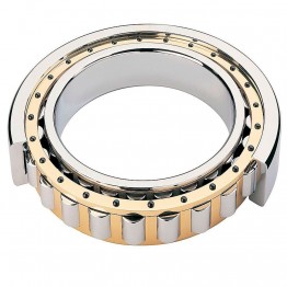 Cylindrical Roller Bearings