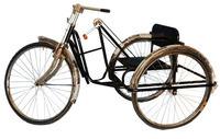 Designer Handicapped Tricycle