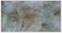 cotton comber