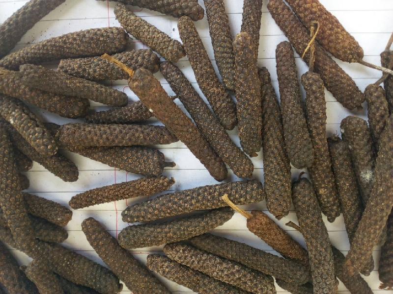 long pepper