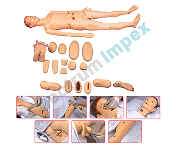 wound care manikin Model