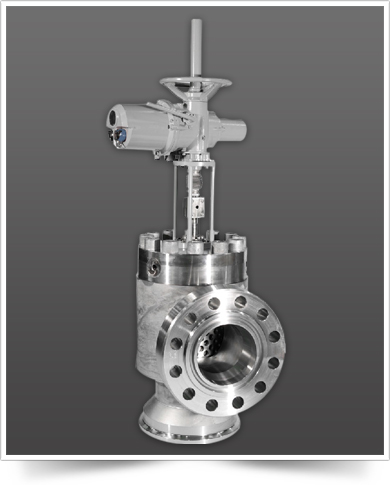 Choke Valve