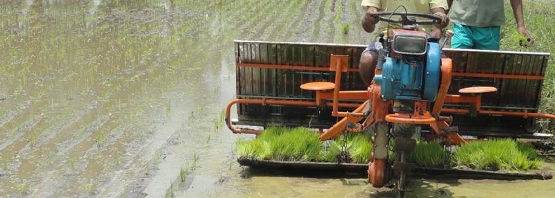 Rice Transplanter