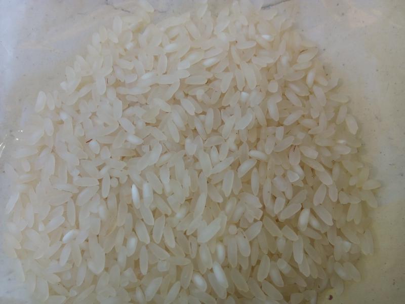 Rice new