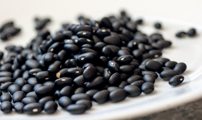 Black Navy Beans