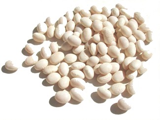 White Navy Beans