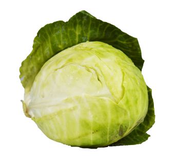 fresh cabbage