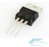 LM 317 timer IC
