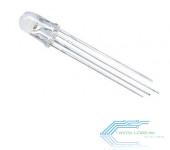 RGB COMMON ANODE LED