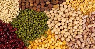 India Pulse and Beans