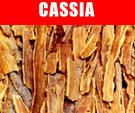 Cassia (Cinnamon)