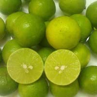 Common Fresh Lemons, for Drinks, Fast Food, Pickles, Packaging Type : Gunny Bag, Jute Bag, Net Bag