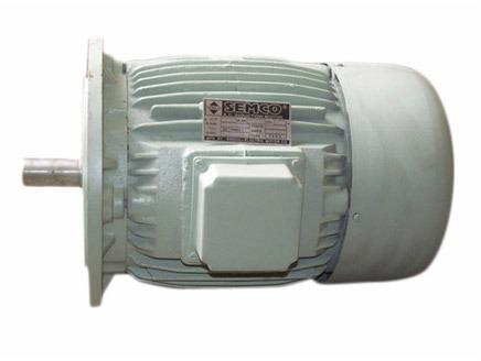 AC Electric Motor