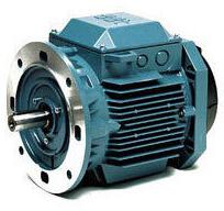 Flange Motor