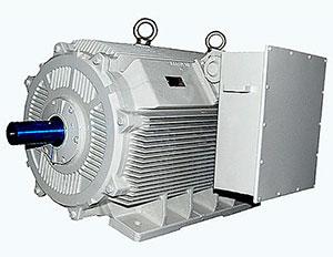 Low Voltage Motor