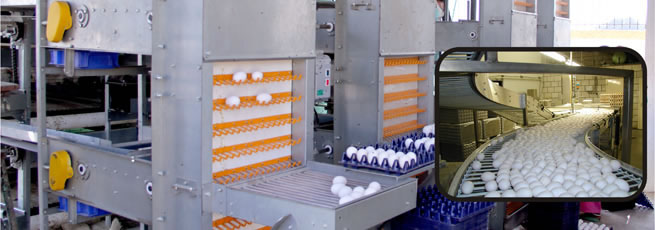 egg collection system